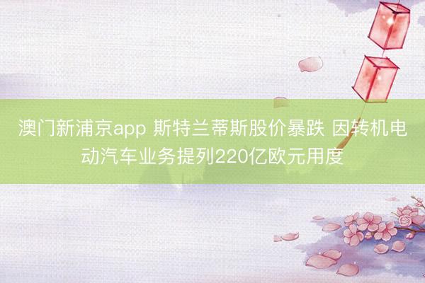 澳门新浦京app 斯特兰蒂斯股价暴跌 因转机电动汽车业务提列220亿欧元用度