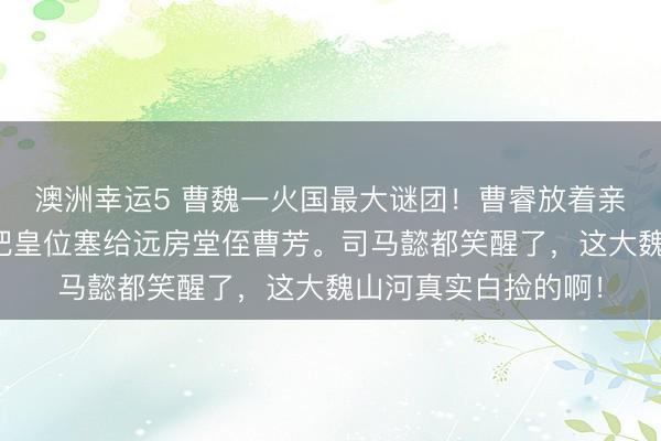 澳洲幸运5 曹魏一火国最大谜团！曹睿放着亲弟弟曹霖不要，偏把皇位塞给远房堂侄曹芳。司马懿都笑醒了，这大魏山河真实白捡的啊！